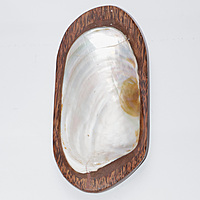 Shell Plate Wooden
