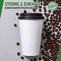 16oz Eco-Island Paper Cup White Double Wall 20/25