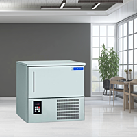 Energy-efficient Blue Star BF03G Blast Freezer with eco-friendly refrigerant.