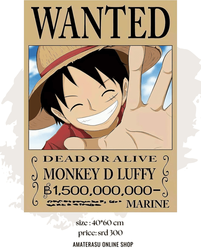 wanted poster One piece