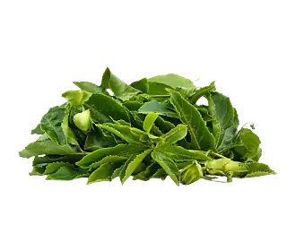 Passion Leaves