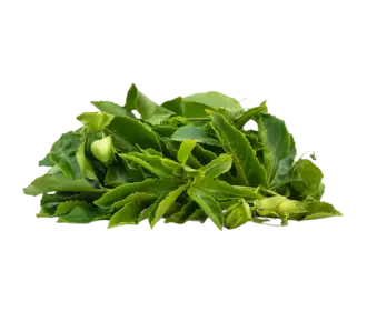Passion Leaves