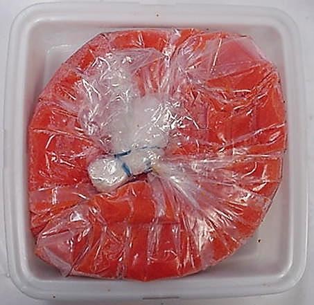(AF) Daiei Masago 4.4LB (L)_4.4LB