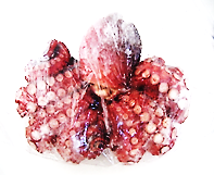* Mushi Tako (5 pcs)_22 lbs.