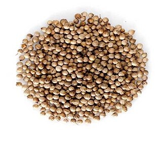 Coriander Whole - 100g