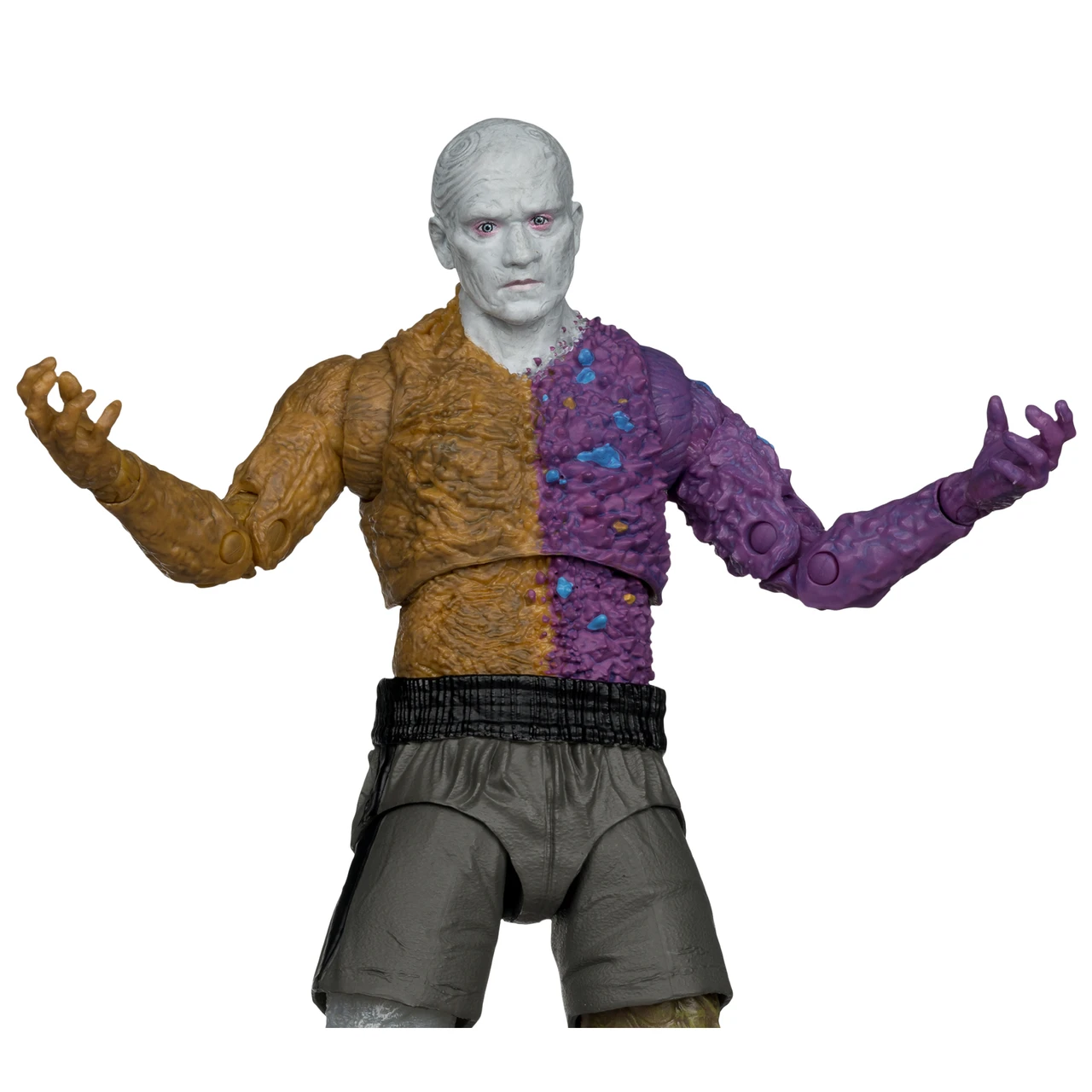 Metamorpho