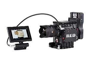 Wooden Camera LCD/EVF Cable (RED®, R/R, 24")