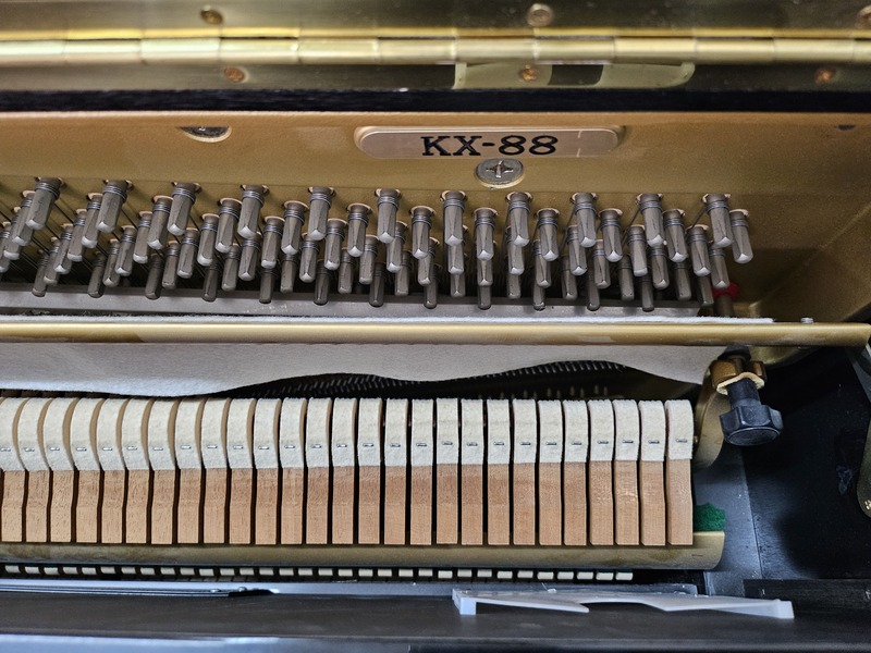Kawai KX88