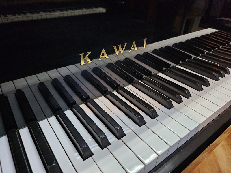 Kawai M132D