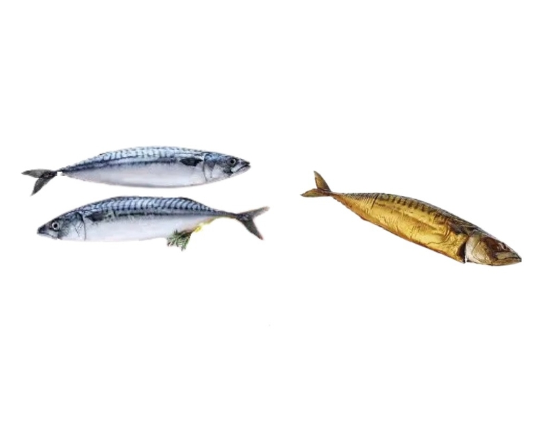 Titus Fish (Smoke & Wet)