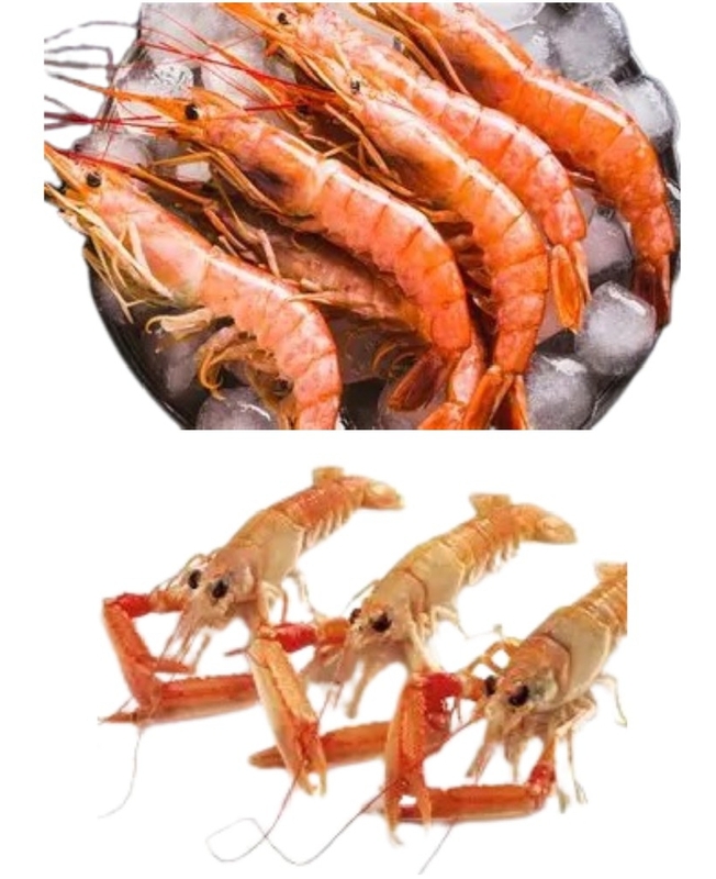 Prawn & Langoustine=WITH OPTIONS