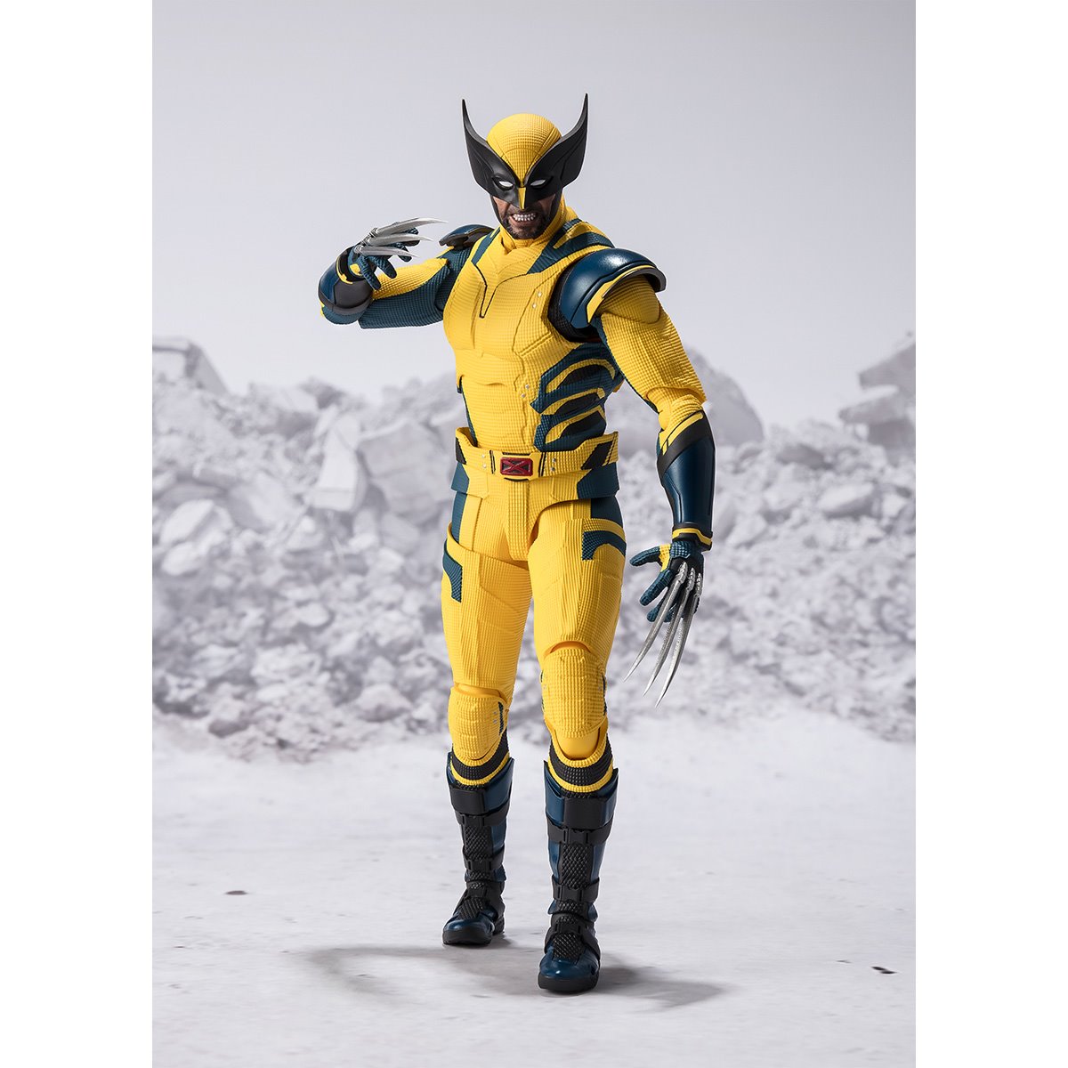 Wolverine D&W