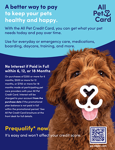 Poster (6 + 12 + 18 Month No Interest Plans)