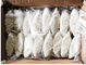 TD)* Sob Shiromi Fry_2/13.2 lbs.