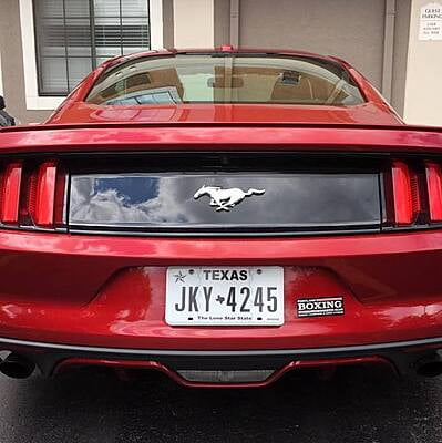 Bumper Sticker Bumper Sticker