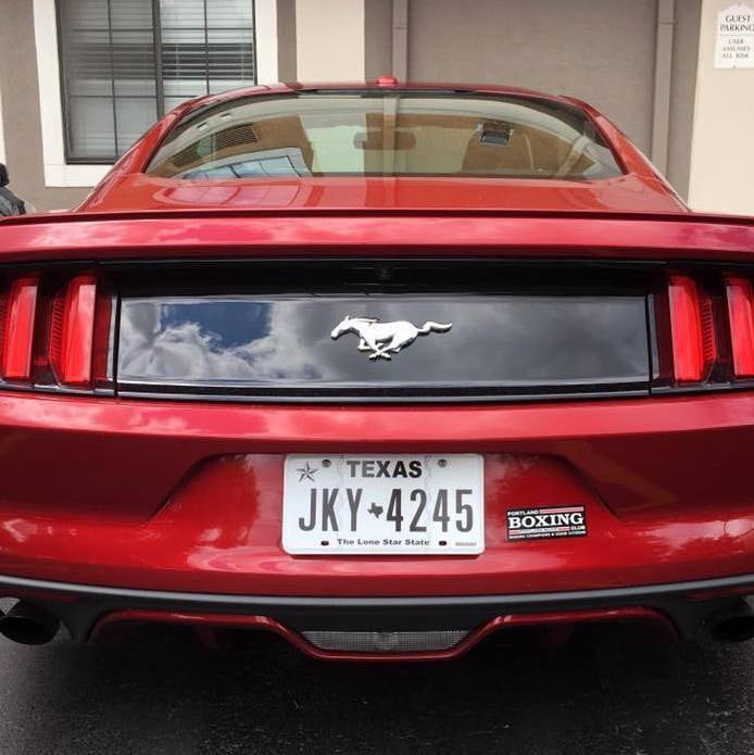 Bumper Sticker Bumper Sticker