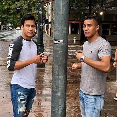 Bumper Sticker Bumper Sticker