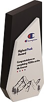 CHAMPION 2 IN 1 CUSTOM CUTOUT TROPHY
