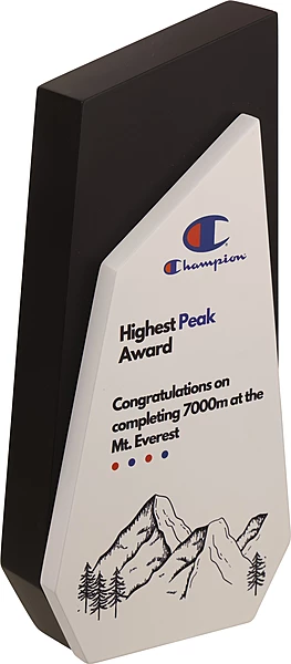 CHAMPION 2 IN 1 CUSTOM CUTOUT TROPHY