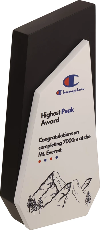 CHAMPION 2 IN 1 CUSTOM CUTOUT TROPHY