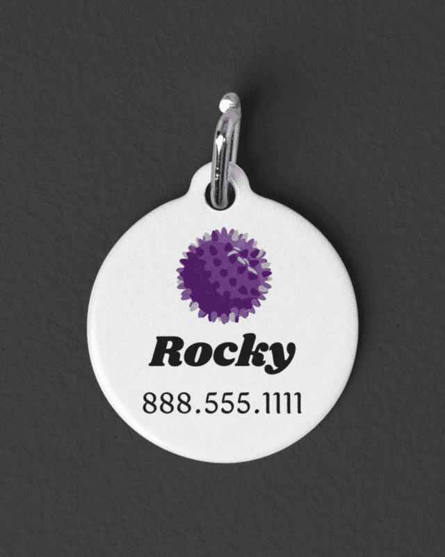 Personalized Pet ID Tag