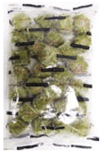 Wasabi Shumai (Pork & Shrimp)_4/1.69LB