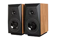 Tonewinner TD C6 Stereo Speakers