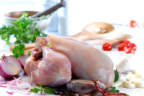 Fresh Broiler Chicken Fresh Broiler Chicken