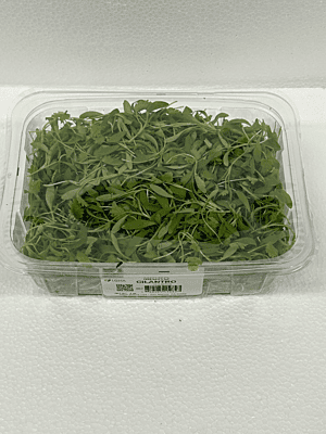 MICRO CILANTRO 4oz