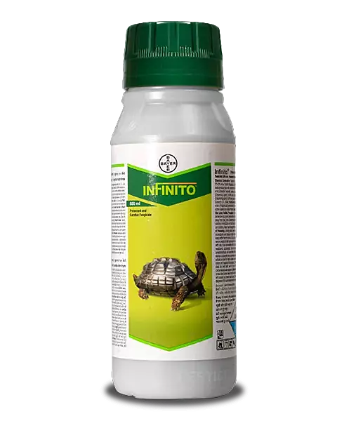 Infinito Fungicide 500ml