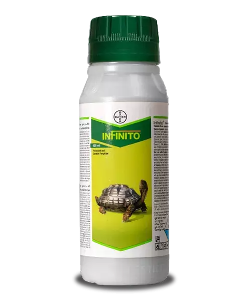 Infinito Fungicide 500ml