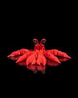 Hermit the Crab Keychain