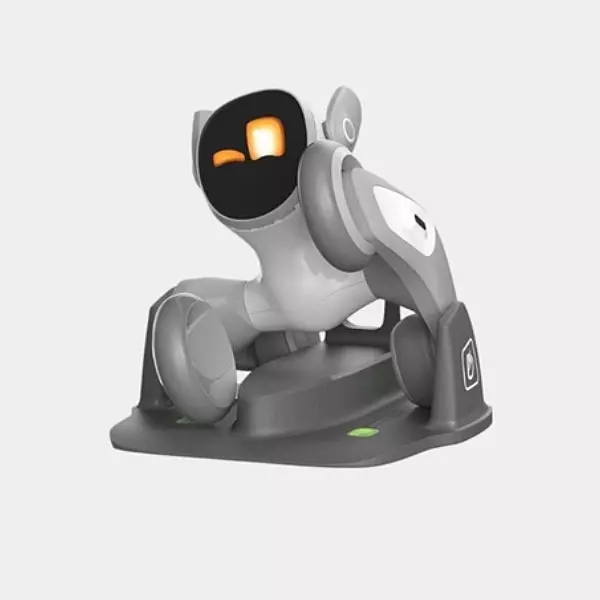 Loona Smart Robot Kit KY004LN01