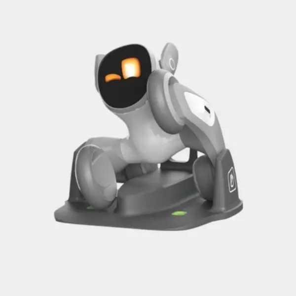 Loona Smart Robot Kit KY004LN01