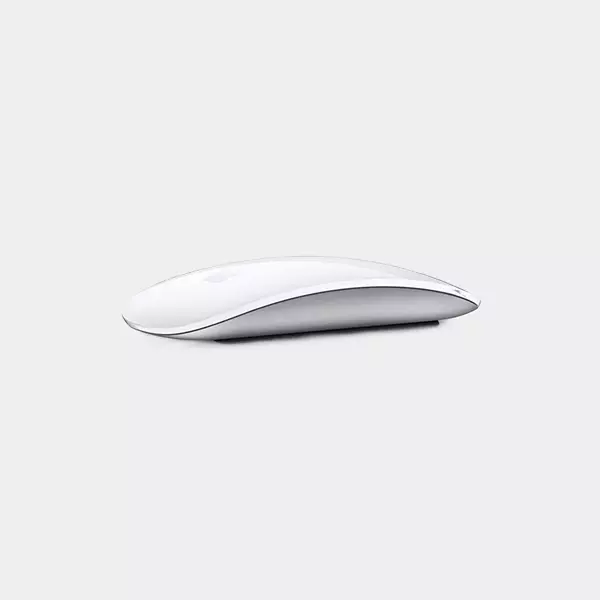 Apple Magic Mouse (USB-C Port)