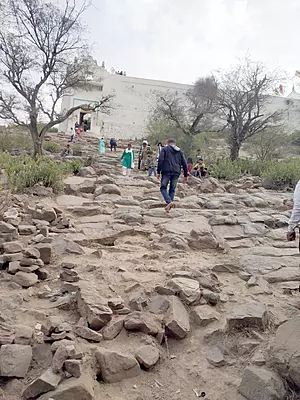 Parikrama Doodh Dhara Seva