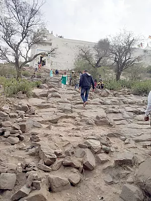 Govardhan Parikrama Special