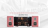 Tonewinner AD-2PRO+ Class A Ampllifer