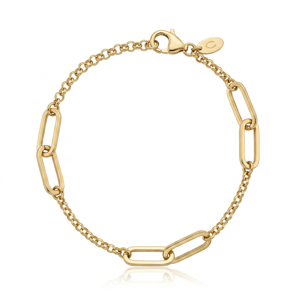 PAPERCLIP GRANDE CON BROCHE CIRCULAR HUECO
