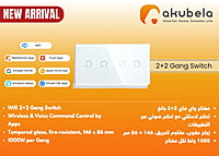 Wifi 2+2 Gang Switch