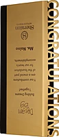SHERATON  CUSTOM CUTOUT TROPHY