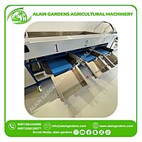 Date Sorting Machine – 3 Size Levels – Industrial Model