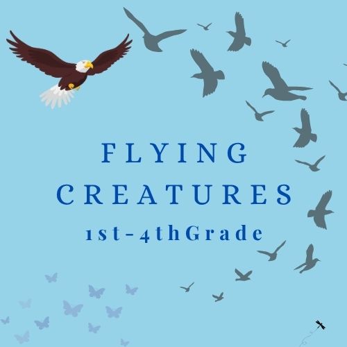 Flying Creatures