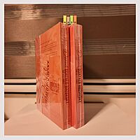 The Rebel Prince & The Fallen Prince (Rozovsky Heirs 9) by Helene Mendoza Helene M.