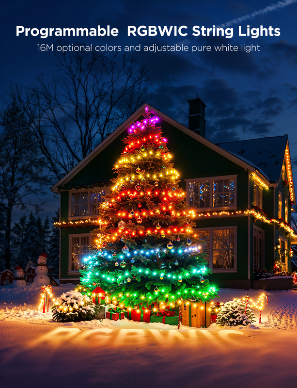 Govee String Lights 2S - 20M (Updated Packaging)
