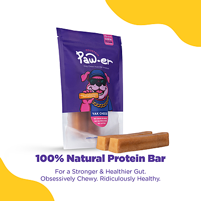 Yak Cheese Chew Original - XL (20 Pcs)