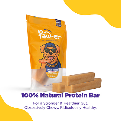 Yak Cheese Chew Turmeric - L (30 Pcs)