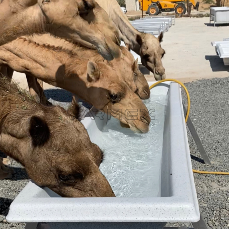 Farmex Trough 200 Liter for Camel