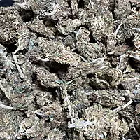Amnesia Haze Exterior