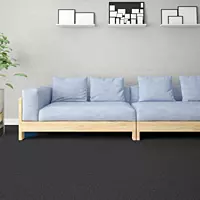 Roll Carpet Delta 178 - Black